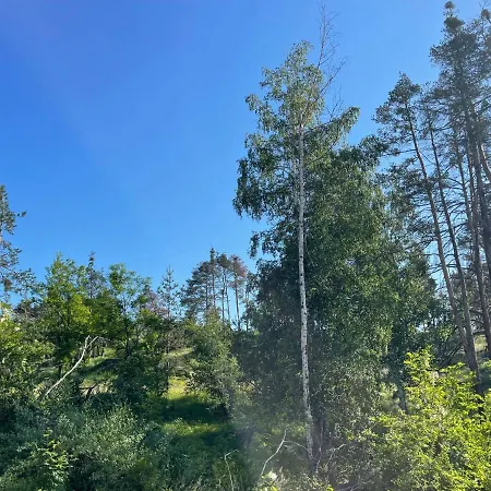 Nikol 2 Deluxe Velingrado