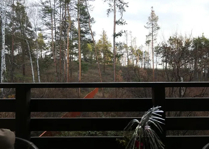 Nikol 2 Deluxe 아파트 벨린그래드