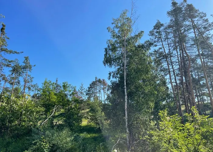 Nikol 2 Deluxe Velingrado